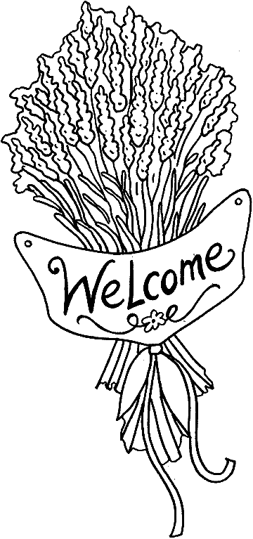 Welcome Lavender flowers
